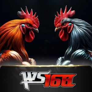 Ws168 Sabung - HONEYSLOT777